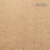 Tortora